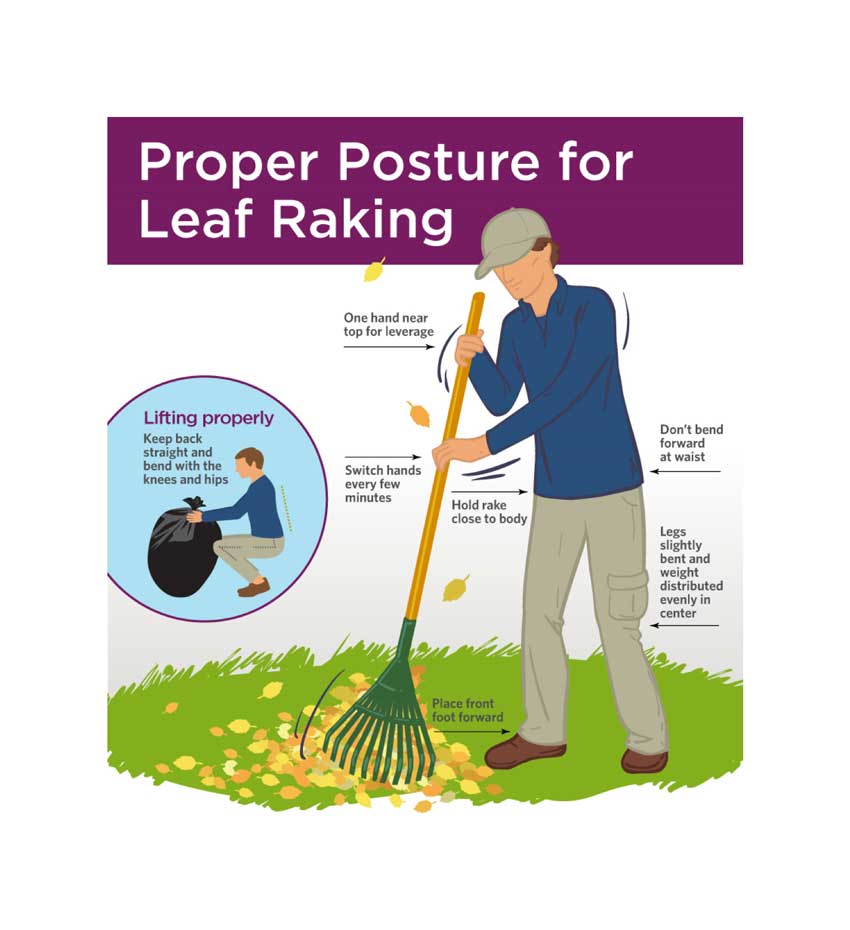 leaf rake